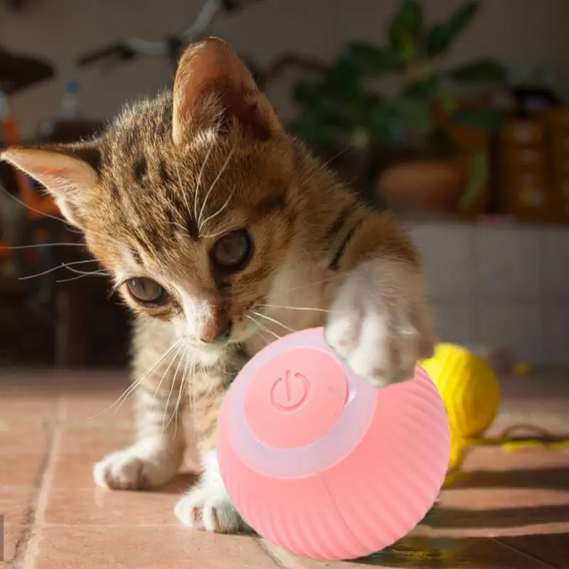 Pelota Bola Inteligente Para Gatos Perro